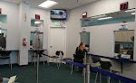 Federal Way Licensing Services
